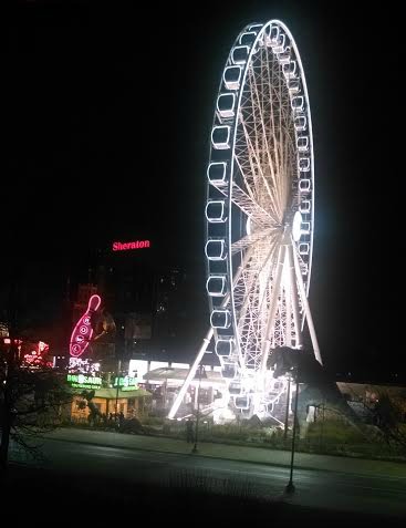 sky wheel at night