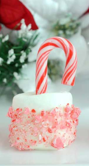 candy-cane-pops