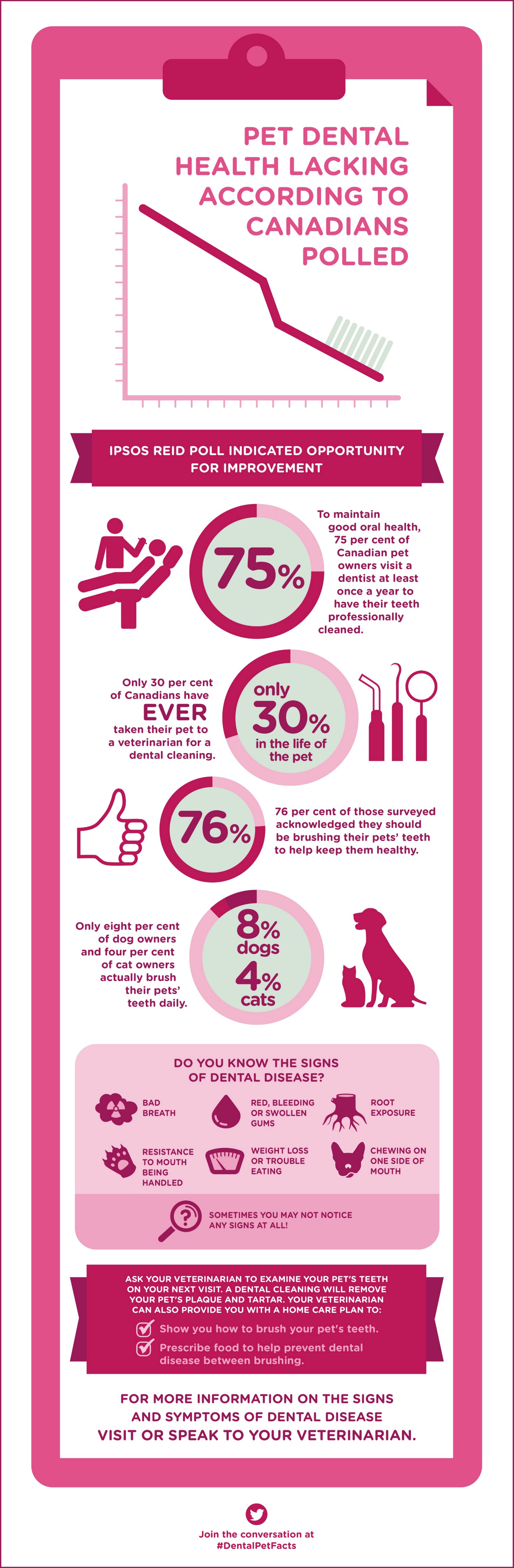 Pet dental health infographic