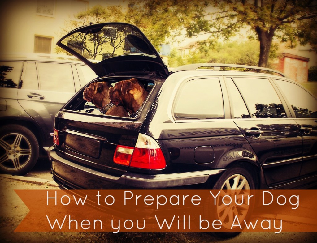 Prepare your dog for your being away