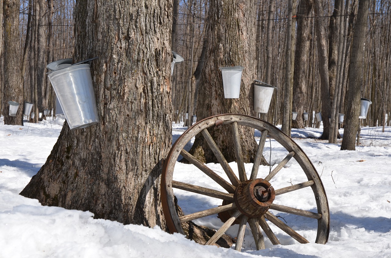 maple-syrup-1169896_1280