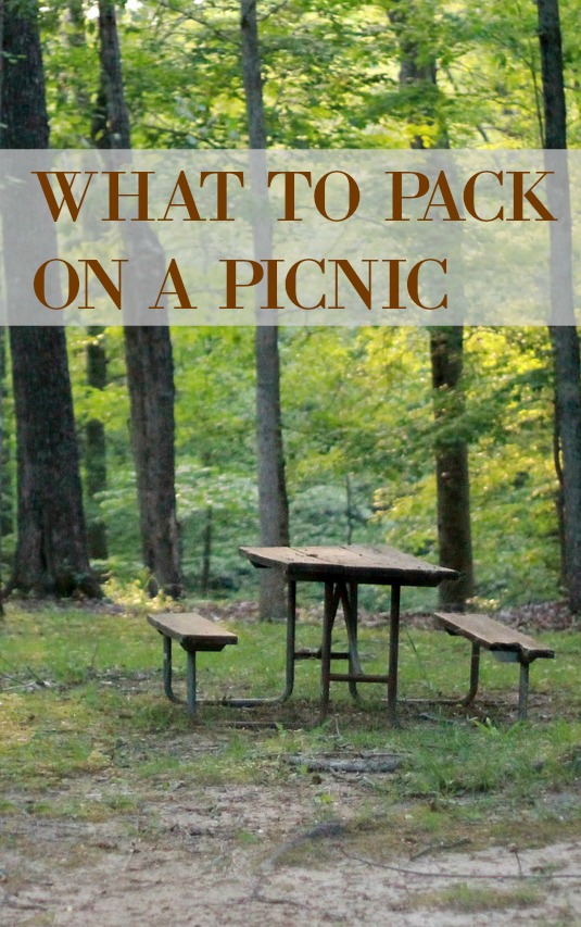 WHAT TO PACK ON A PICNIC