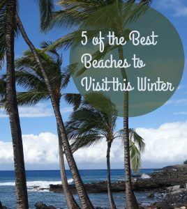5 of the Best Beaches to Visit this Winter